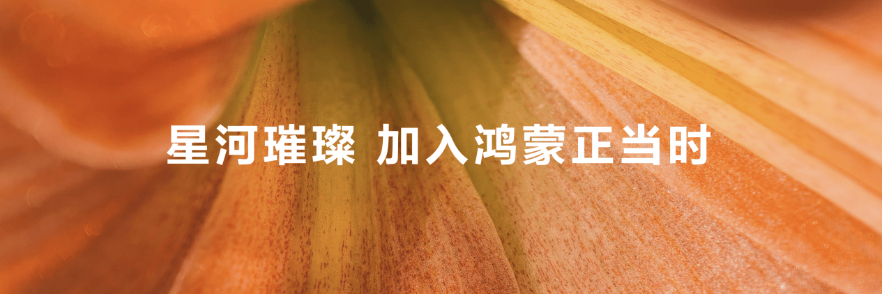 Kaiyun中国：HDC2024落幕鸿蒙原生应用全面冲刺为消费者带来无缝智能生活(图4)