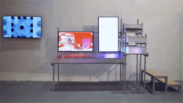 开云网站：巡天：寻找世界模型——2024浦东新区“全国科普日”系列活动开幕(图13)