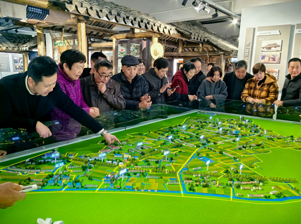 Kaiyun中国：金山区山阳镇杨家村宅基沙盘正式亮相(图2)