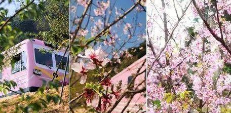 Kaiyun中国：2024前海宸湾楼盘沙盘-前海宸湾样板房-备案价-(图8)