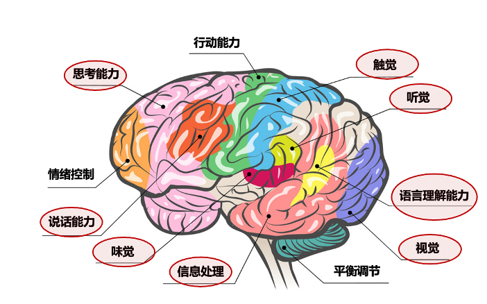 开云网站：AI时代哪种人更被需要？(图3)