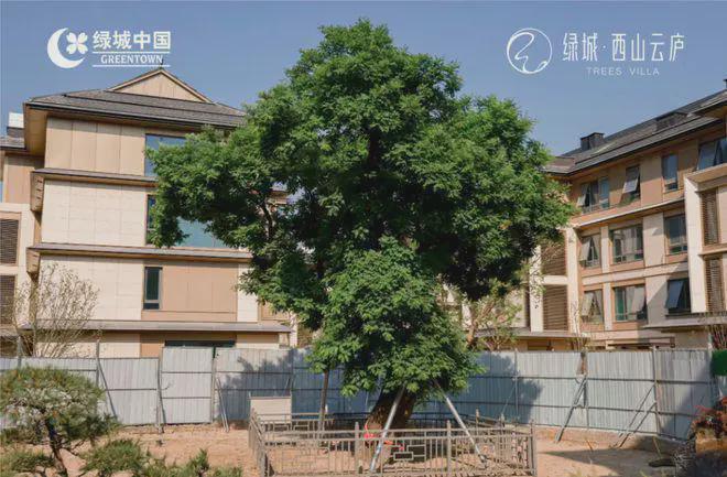Kaiyun中国：绿城西山云庐(售楼处)2024首页-西山云庐最新发布网站-欢迎您(图5)