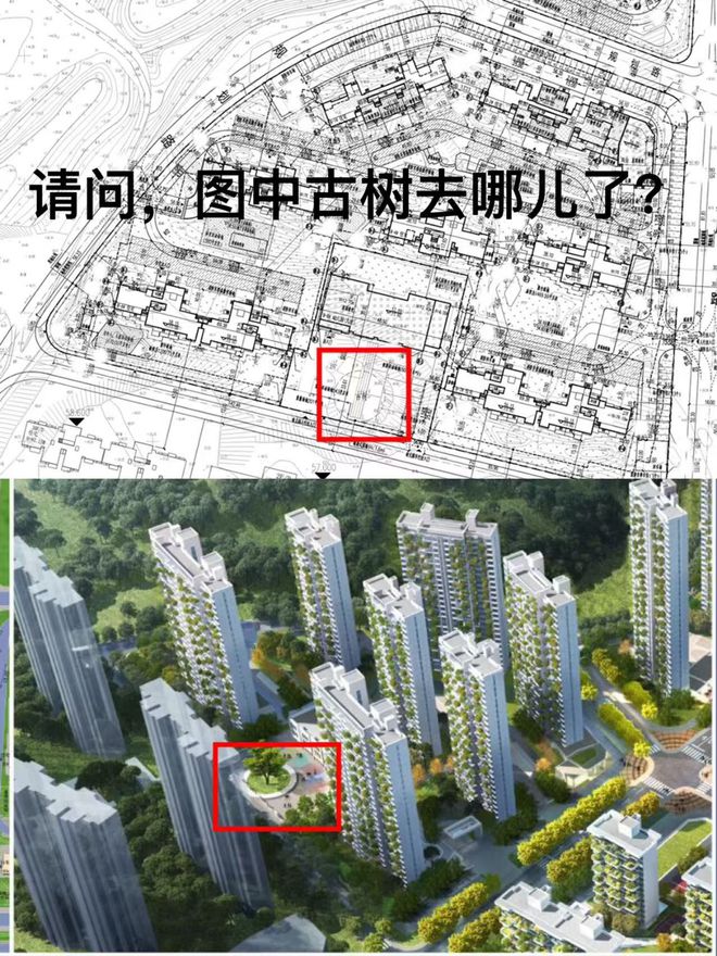 Kaiyun中国：开福区保利和光尘樾楼盘即将交房就出现减配、粗制滥造？回复来了(图2)