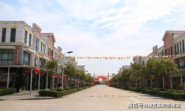 开云网站：上海金山非遗文化小镇热线-金山枫泾非遗文化小镇售楼处电话(图3)