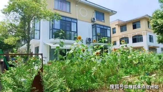 开云网站：上海金山非遗文化小镇热线-金山枫泾非遗文化小镇售楼处电话(图2)