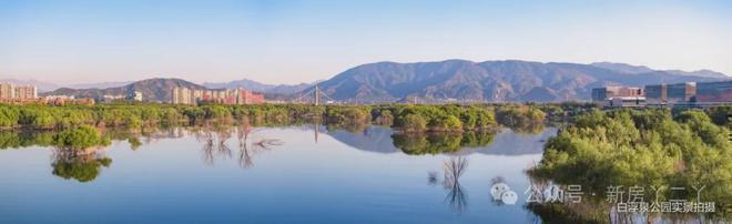 Kaiyun中国：Ⓑ建发观堂府网站观堂府售楼处发布-楼盘评测(图16)