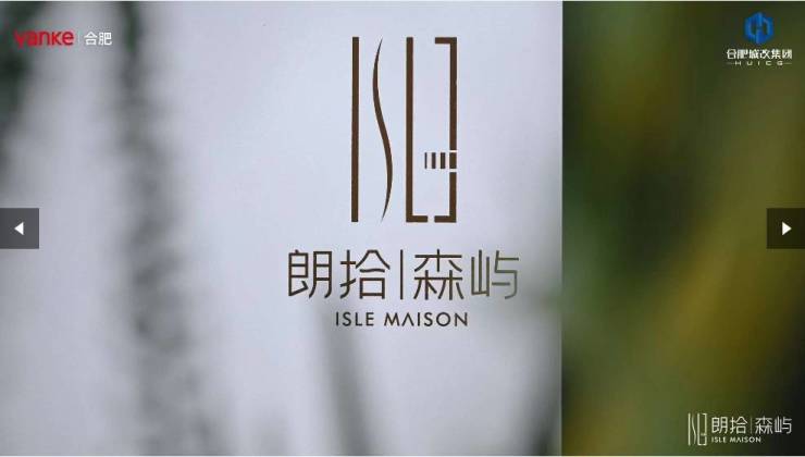 开云网站：合肥万科朗拾森屿楼盘资料(图3)