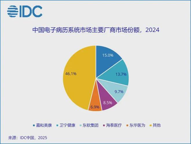 开云网站：2024中国电子病历系统TOP5公布嘉和美康连续11年市场第一(图1)