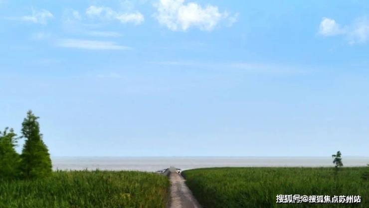 开云网站：上实和风院(售楼处)首页网站-上实和风院售楼处欢迎您-楼盘详情-户型配套-最新价格-最新资讯-位置(图4)