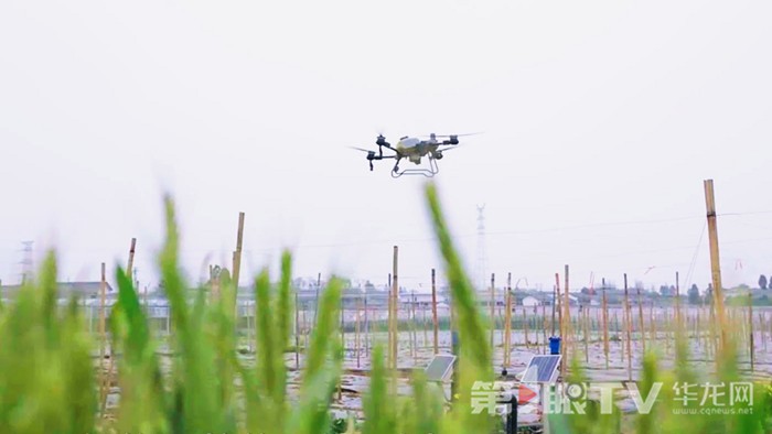 开云网站：立体山城奔向“云端”经济新蓝海(图7)