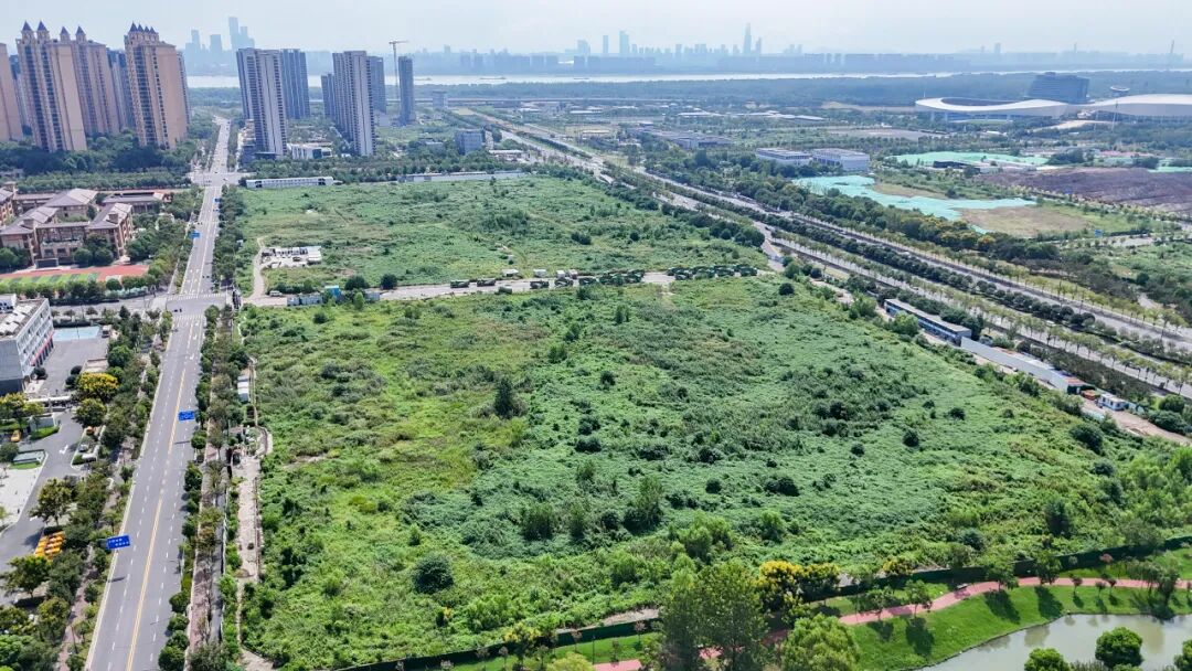 开云网站：猛料！苦等16年南京困难工程今年复工(图4)