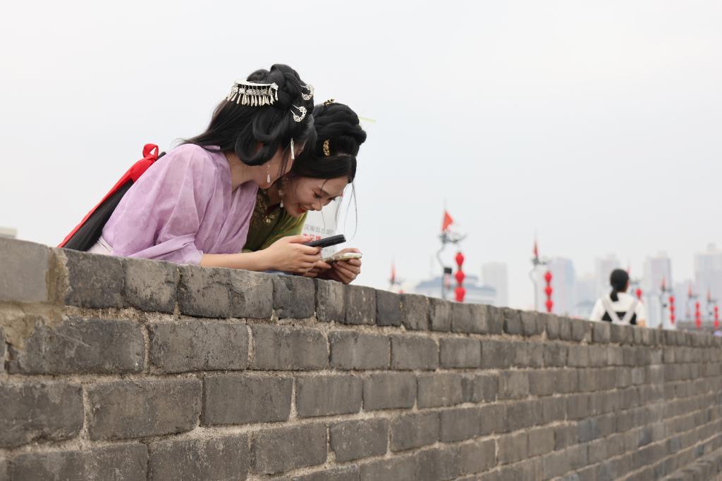 开云网站：econtent