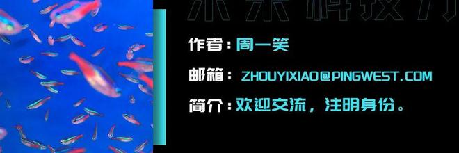 Kaiyun中国：SEO已死GEO当立？AI已经是流量新守门人了(图11)