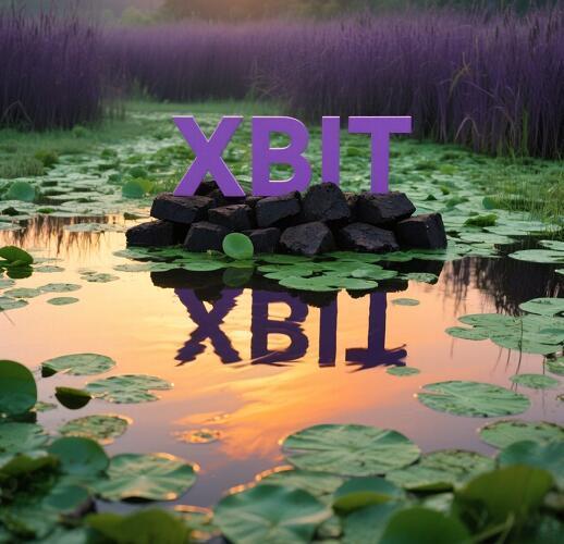 Kaiyun中国：Tether借Plasma竞逐USDT交易布局基建XBIT伴行对冲泰达币(图2)