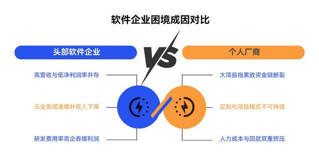 Kaiyun中国：传统软件工程的黄昏与数睿数据AI无代码的破晓