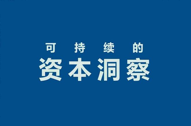 开云网站：润泽科技（300442）：园区级IDC龙头的AI算力转型低PE下的价值重估博弈