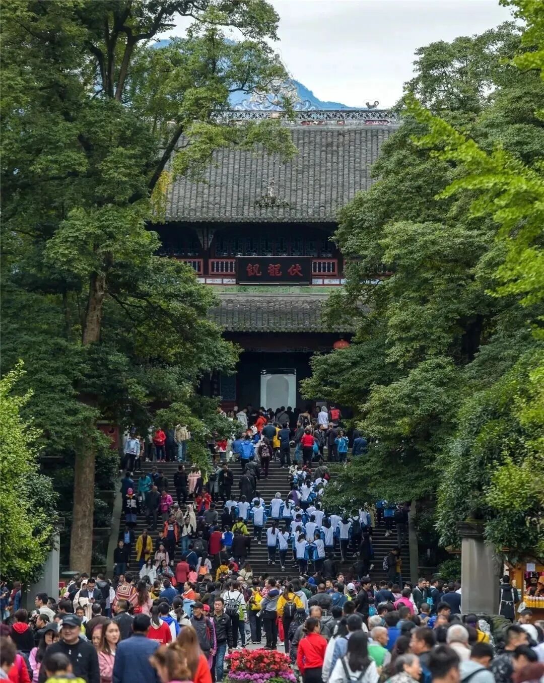 Kaiyun中国：申遗成功25周年从世界遗产到世界旅游目的地看都江堰文化遗产保护传承“活化”之路(图7)