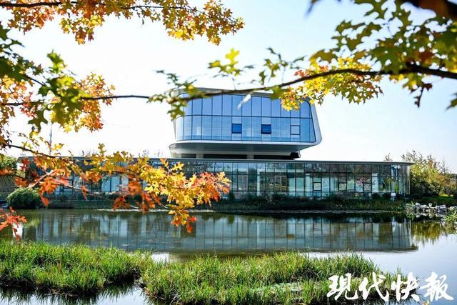 开云网站：全国首个！苏州市海绵城市主题公园免费开放(图3)