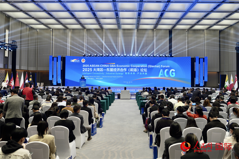 开云网站：前海何以吸引世界？开放为基创新赋能文化添彩