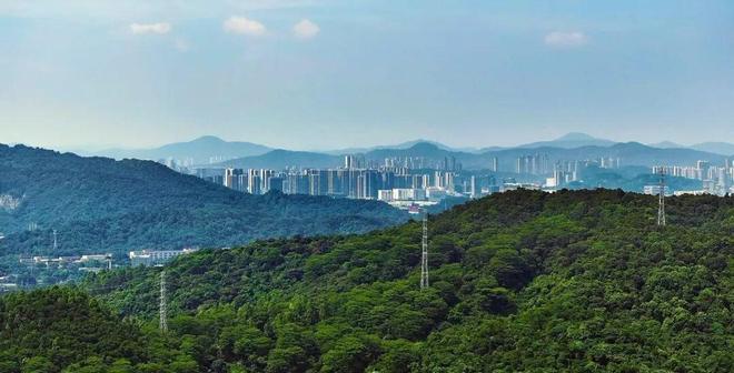 Kaiyun中国：⚡热搜中建海丝城售楼处发布：顶豪生活新篇章！(图11)