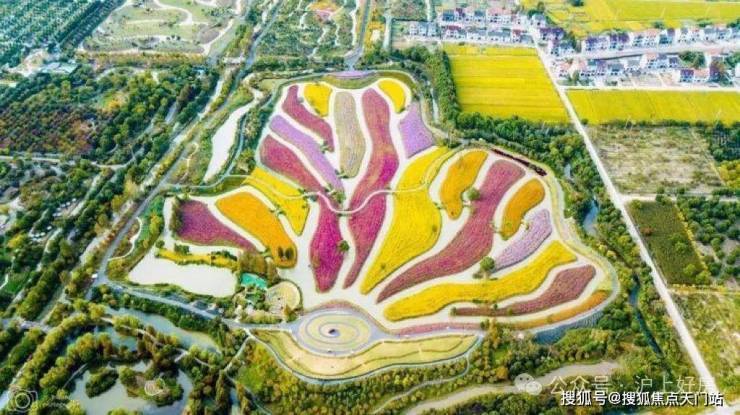 开云网站：国印东方-小区环境-户型-价格-地址-楼盘详情-周边配套-国印东方售楼处电话-交房时间(图22)