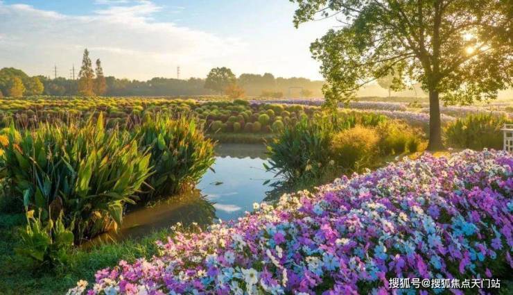 开云网站：国印东方-小区环境-户型-价格-地址-楼盘详情-周边配套-国印东方售楼处电话-交房时间(图23)