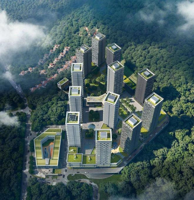 开云网站：⚡臻选｜万星林花园售楼处发布：2026峯层臻邸耀世启！(图3)