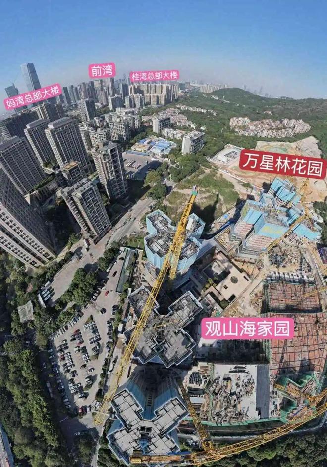 开云网站：⚡臻选｜万星林花园售楼处发布：2026峯层臻邸耀世启！(图6)