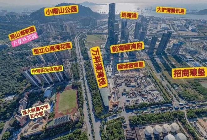 开云网站：⚡臻选｜万星林花园售楼处发布：2026峯层臻邸耀世启！(图8)