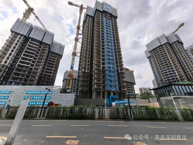 开云网站：✍✧聚焦中建鹏宸云筑售楼处发布：敬献全球人居瞩目之作(图8)