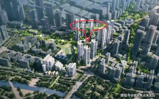 开云网站：✍✧重磅｜湾啟紫荆府售楼处发布敬献全球瞩目的人居范本(图4)
