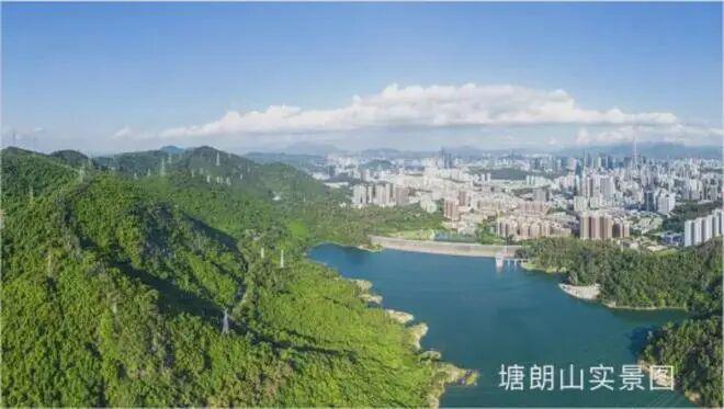 开云网站：✧重磅汉园茗院售楼处发布敬献时代地标级奢邸！(图13)