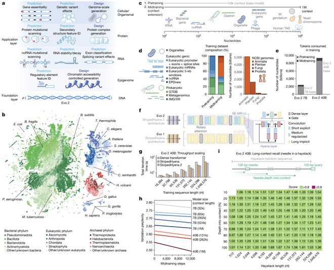 开云网站：Evo-2登上Nature：AI模型实现对所有生命基因组的建模和设计甚至能从头设计生命(图5)