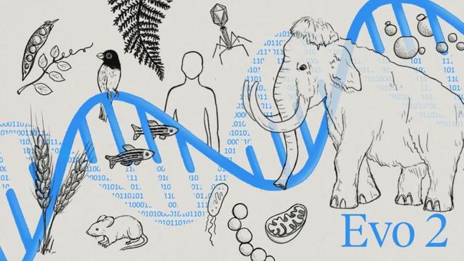 开云网站：Evo-2登上Nature：AI模型实现对所有生命基因组的建模和设计甚至能从头设计生命(图4)