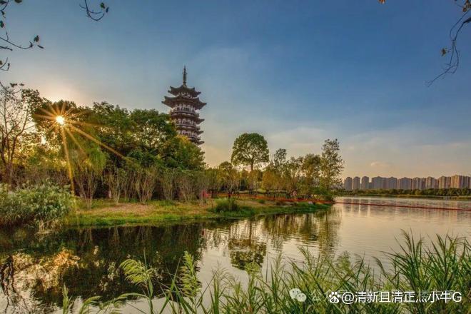 开云网站：⏰热推金茂满曜售楼处发布：金茂满曜顶级奢宅热销中！(图13)