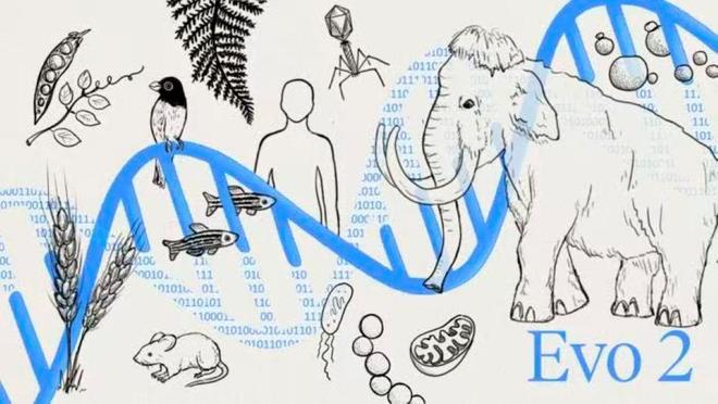 Kaiyun中国：Evo2模型从“读懂片段”进化到“设计生命”
