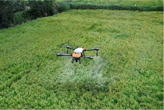 Kaiyun中国：哈工大以AI播种“农业未来”(图4)