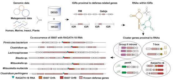 Kaiyun中国：哈工大以AI播种“农业未来”(图6)