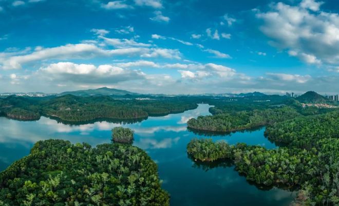 Kaiyun中国：深圳宝安凤鸣水岸花园售楼处公示（20260401）(图13)